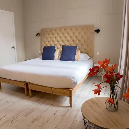 Pensionat Cami Gallery Barcelona