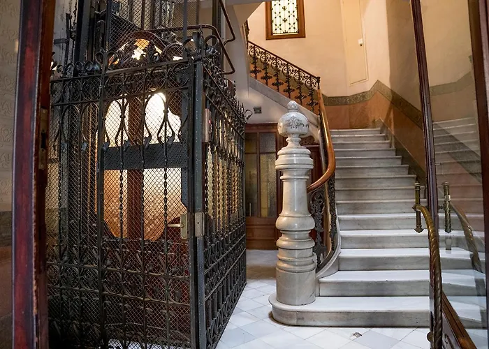 Cami Gallery