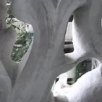 Cami Gallery